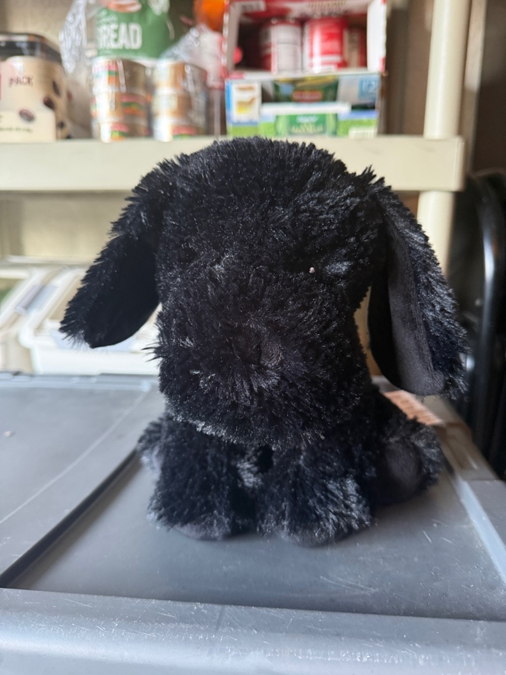 WARMIES  Black Puppy - Soft Cuddly Companion
